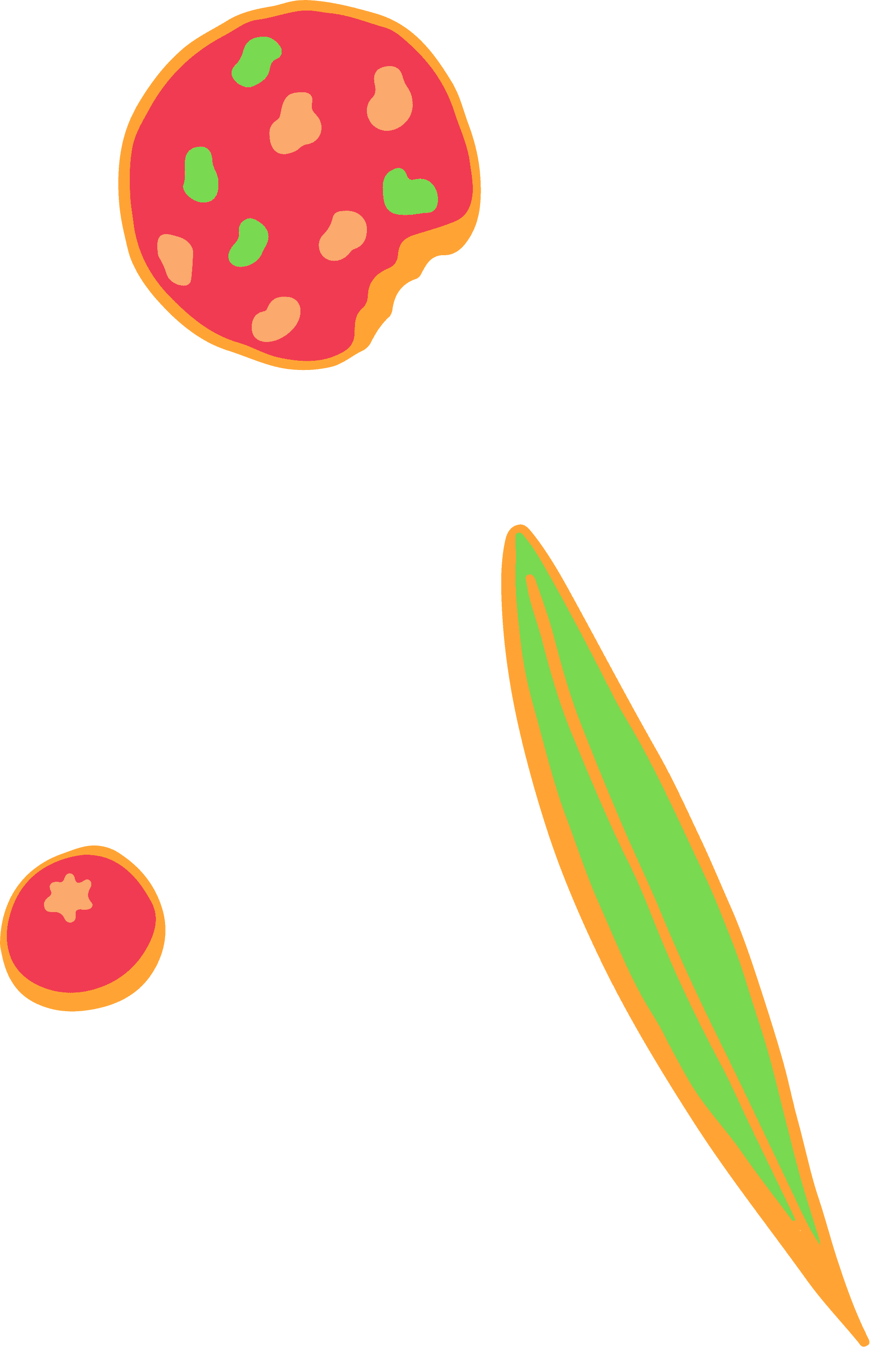 Illustrations