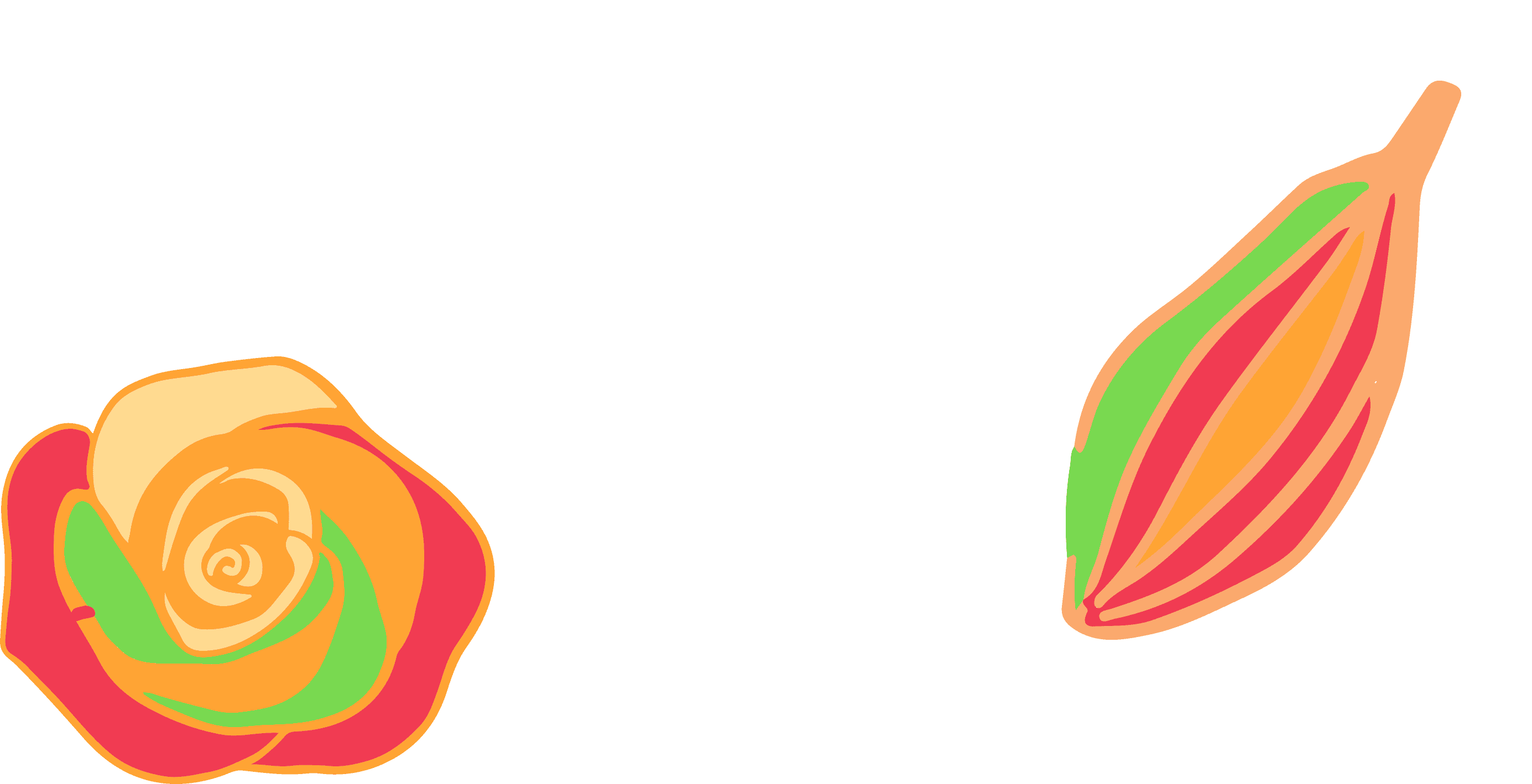 Illustrations