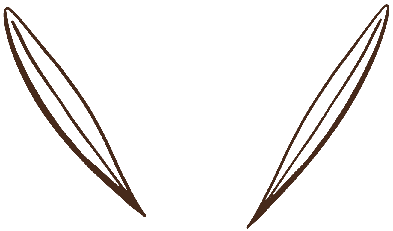 Illustrations