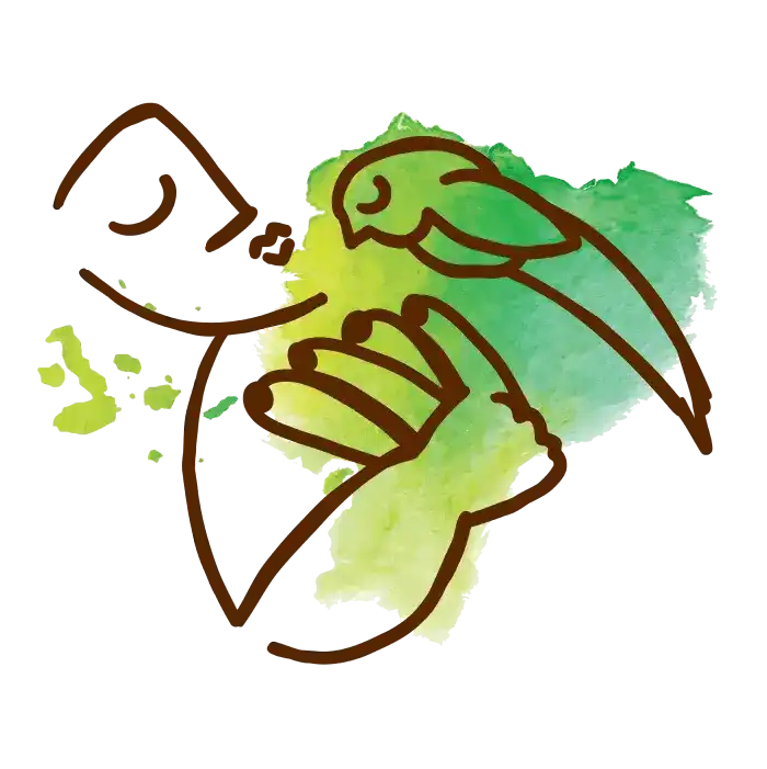 CHIFLES logo