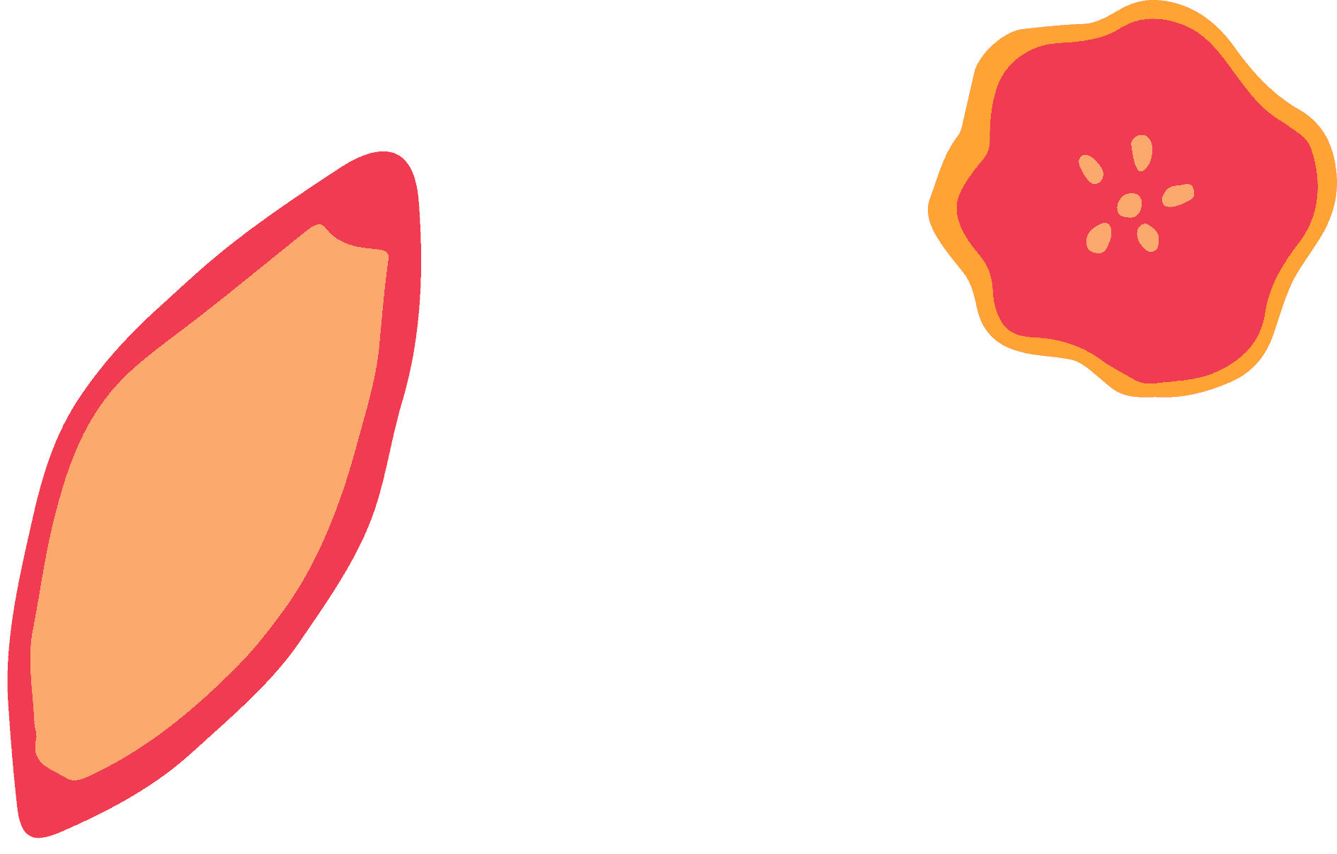 Illustrations