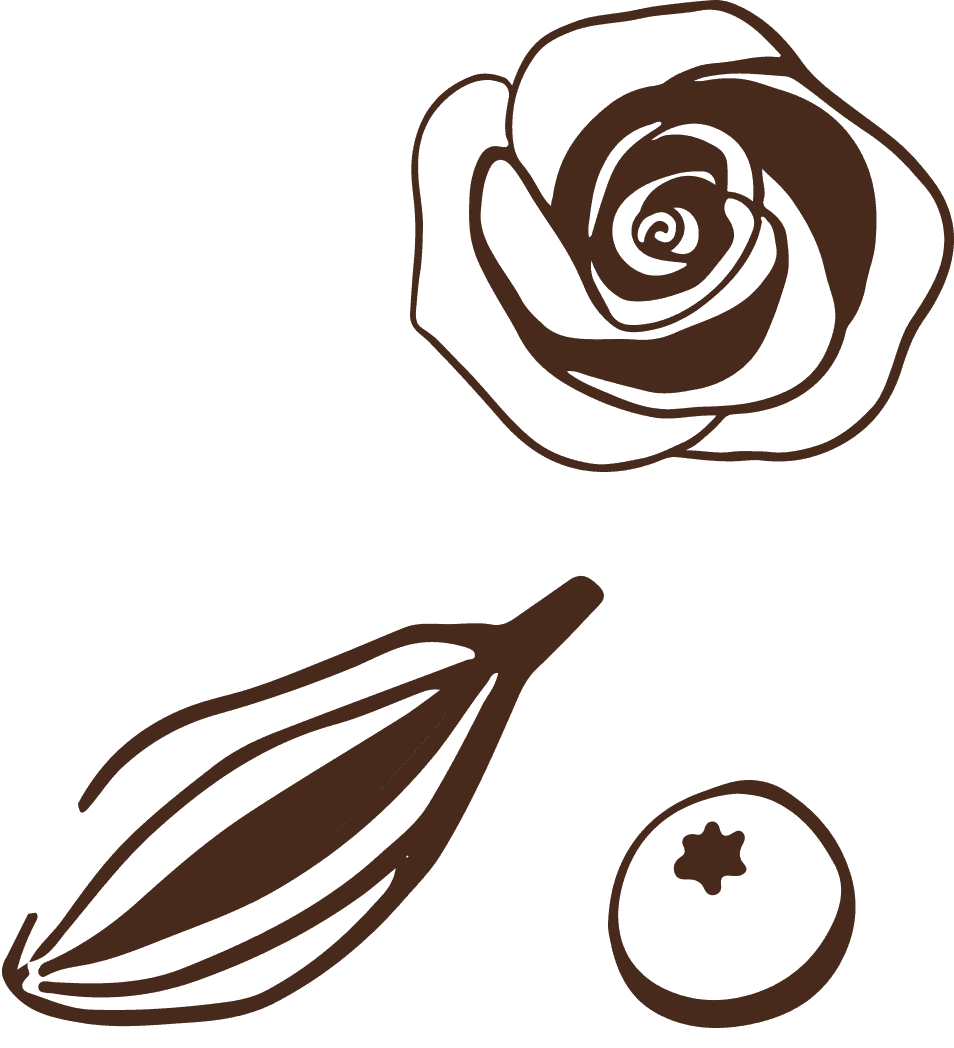 Illustrations